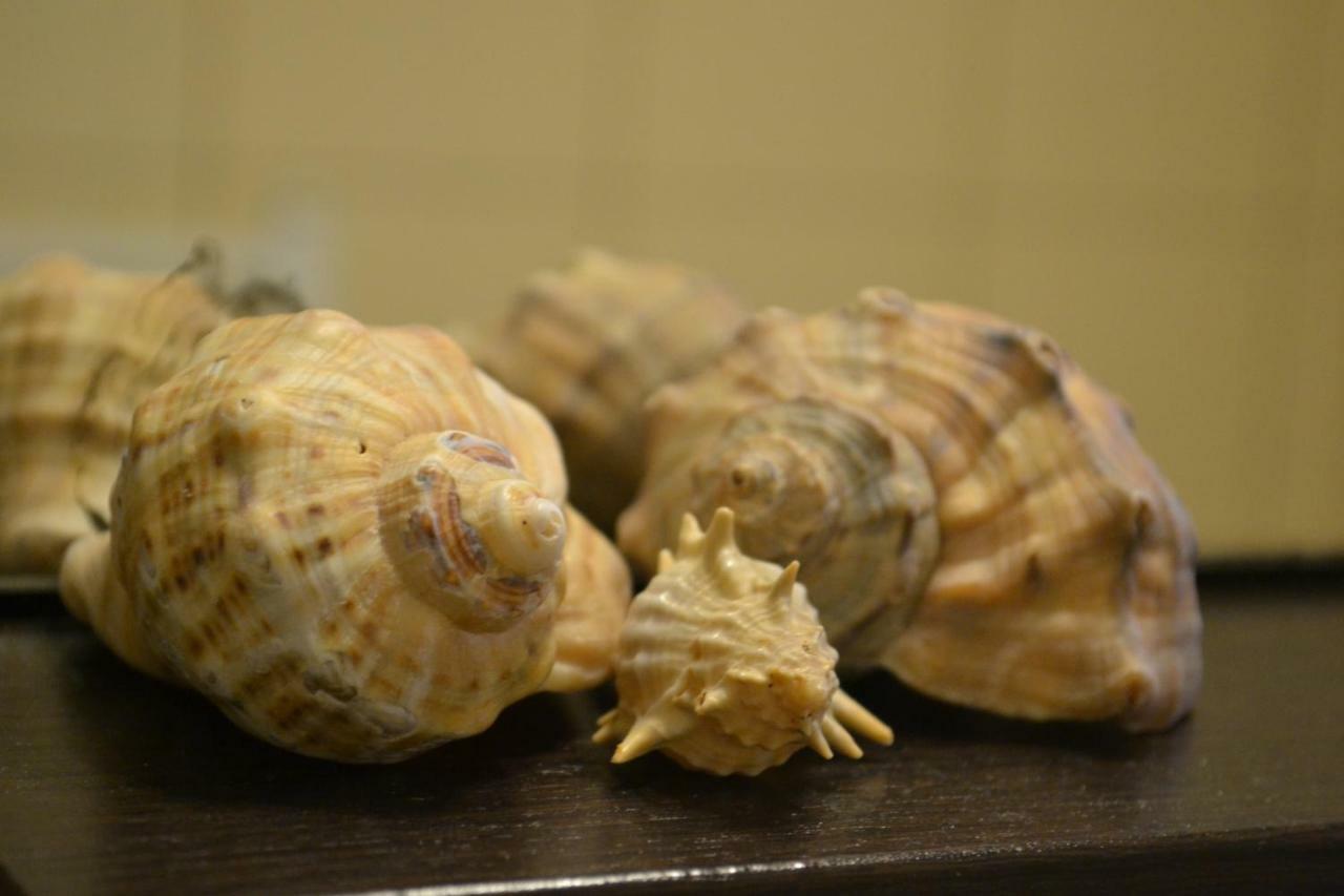 Relax Apartament คอนสตันซา ภายนอก รูปภาพ